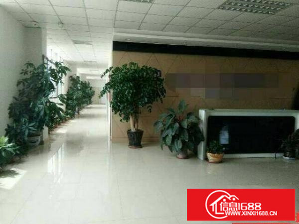 坪山六联社区新出二楼50平方工业厂房出租