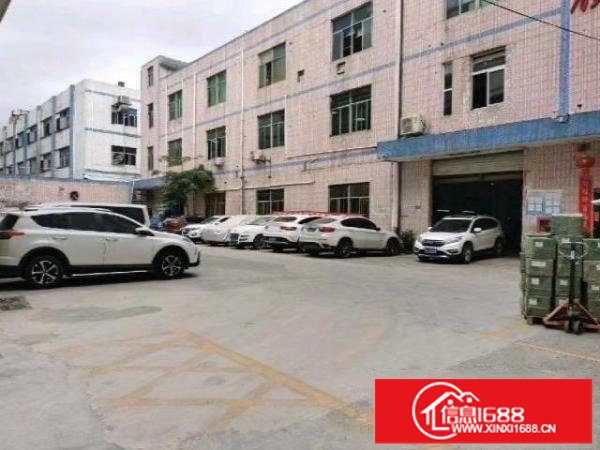 真实：新田观平路1-3楼独院厂房4500平方