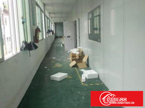 出租龙华观澜松元一楼二楼三楼精装修厂房