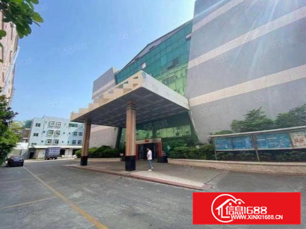 长安厦边新出6米高一楼2900平带装修厂房出租