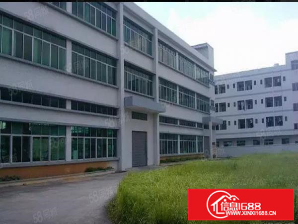 大朗镇经典独院三层厂房4800平方，独立办公楼