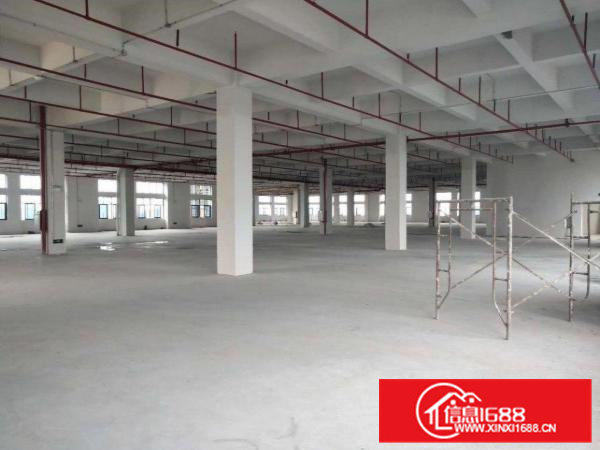 大岭山杨屋新出标准原房东可分租厂房3000平米一层可分租