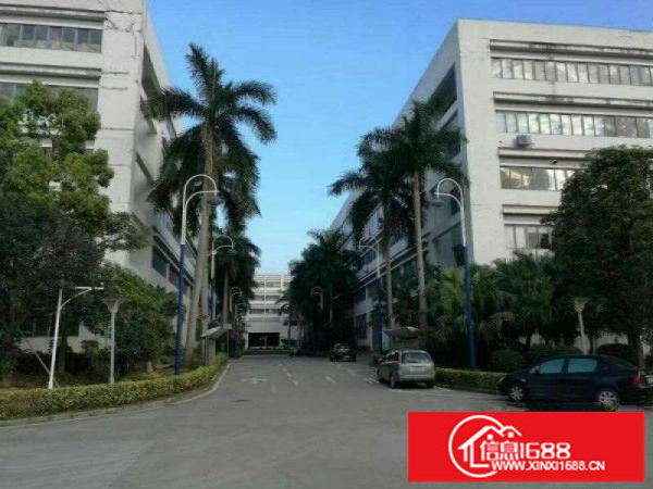 横岗高速出口精装修厂房出租1000平方可分租有红本