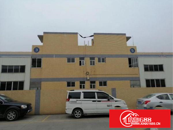 陈洞工业区九成新独门独院厂房出租