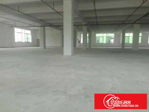 高埗1出租1800平方出租高度6米