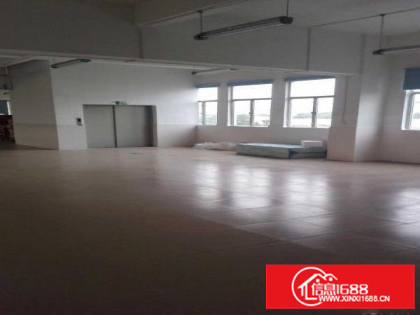 平湖新木楼顶铁皮顶厂房800出租，只8元，适合皮草，油边行业