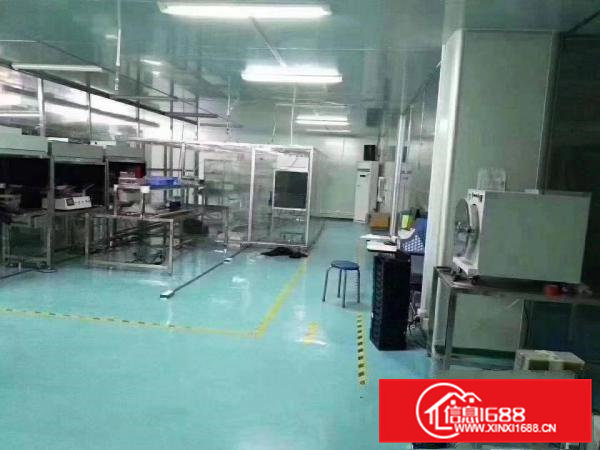 清溪高速路口楼上无尘车间厂房798平方米出租可分租300