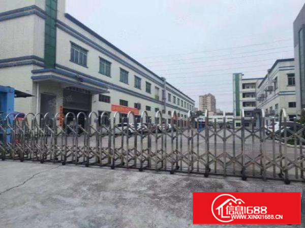 洋坑塘实业客出租一楼厂房3300平，可办环评，可分租