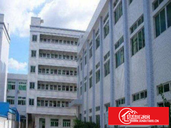 万江简沙洲独院(现成装修)标准一楼2000平方招租可分租