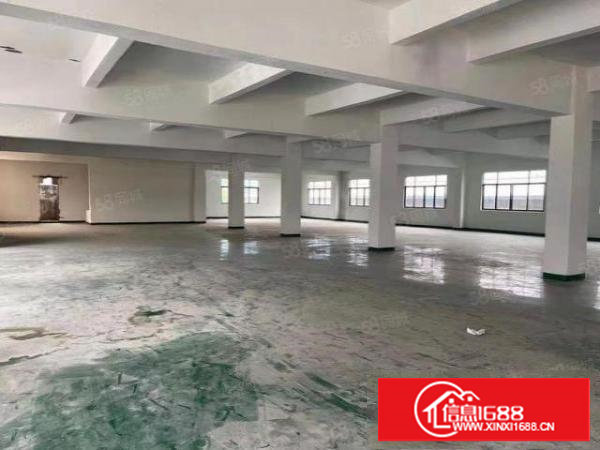 长安沙头新出二楼一整层1450平方园区形象好位置佳厂房出租