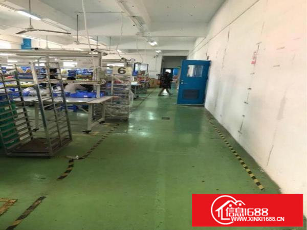 丹竹头带装修1500平出租