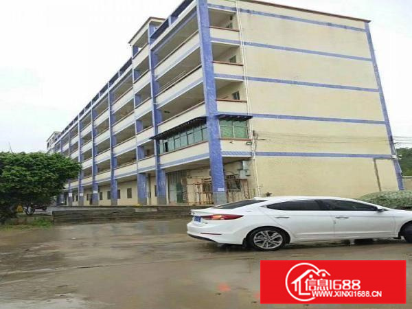 秋长刚出单一层5000平花园式厂房