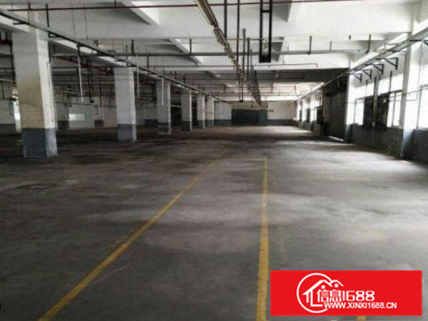 常平金美标准三层2800平米厂房出租