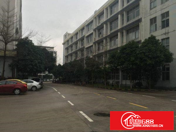 出租龙岗区横岗标准厂房350平二楼