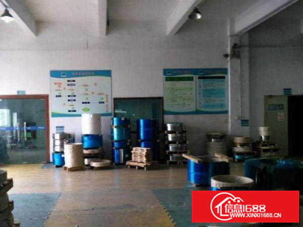 坪西原房东厂房出租一二楼各1200平米可分租