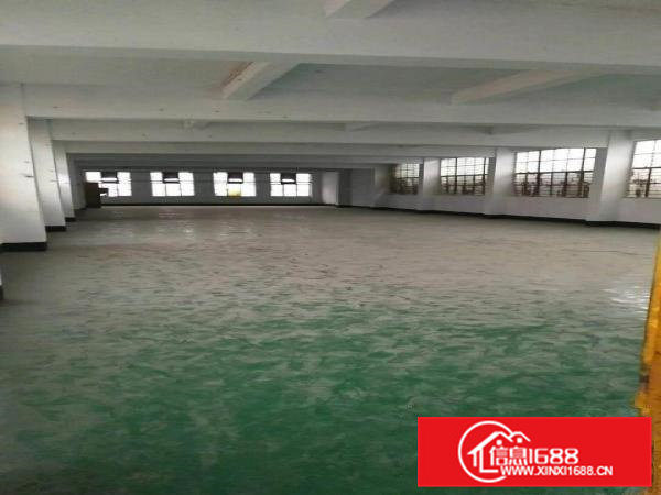 凤岗独院厂房4500带水电办公室加翻新低租