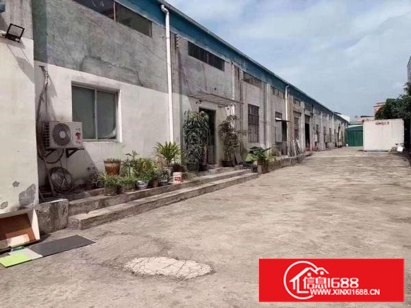 塘厦大坪独院钢构铁皮厂房出租1600平近高速价格便宜