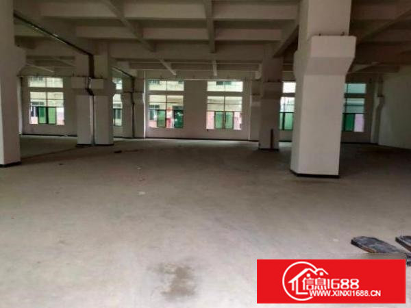 南联原房东厂房一楼1150平方带牛角高度6米，可分租600平