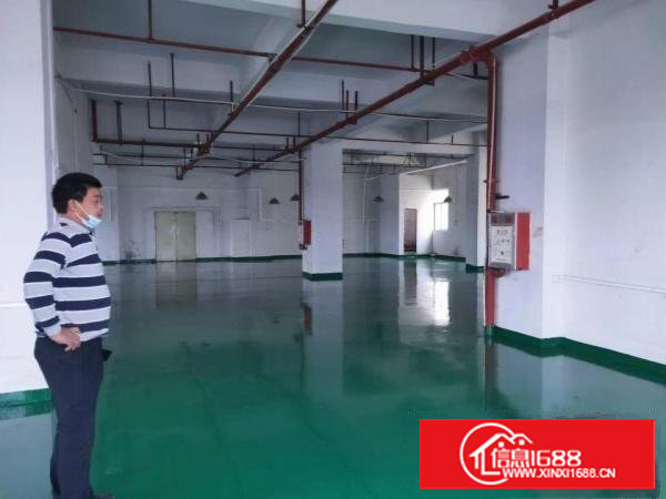 长安整栋全新厂房出租大小面积都有靠近沿江高速出口附近