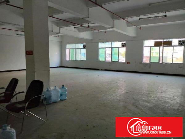 龙岗区横岗新出一楼精装小面积厂房320平米招租