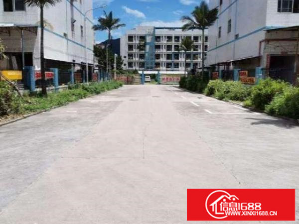 分租坪山区沙湖独门独院厂房一楼600平方，空地3000平