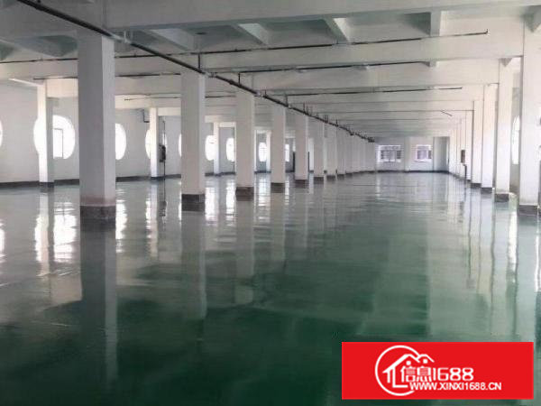 个人出租，带地坪漆厂房