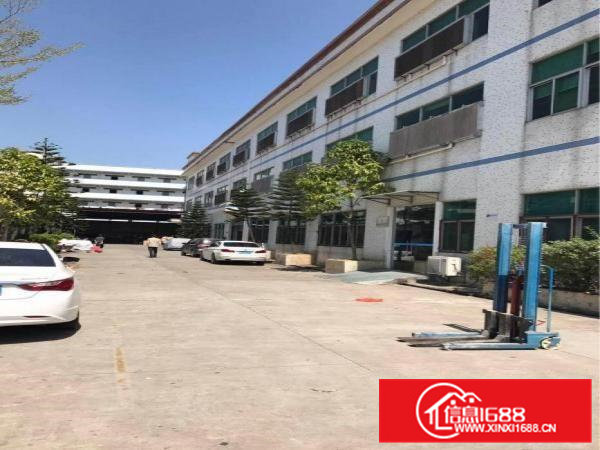 常平镇土塘村工业区出租标准厂房一楼二楼三楼