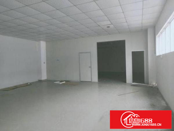 可以做涉水行业东坑实际面积出租