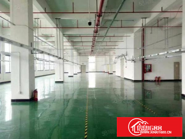 带地坪漆消防喷淋，勒流3500方标准厂房出租，层高8米