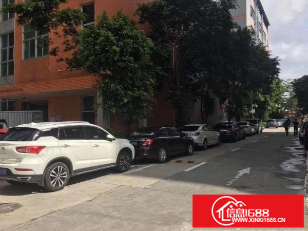 坂田大工业区厂房230平方450平方火爆招商