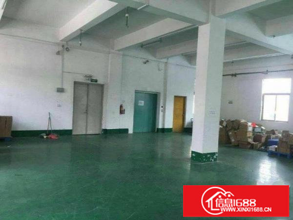 楼上带精装修现成水电9元！9元！有电梯坪山石井