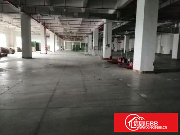 万江独门独院厂房4500平方出租