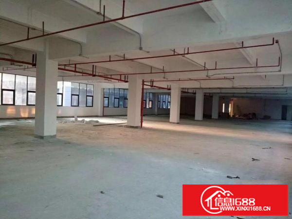 横岗独院厂房4000平米可分2000平500平米