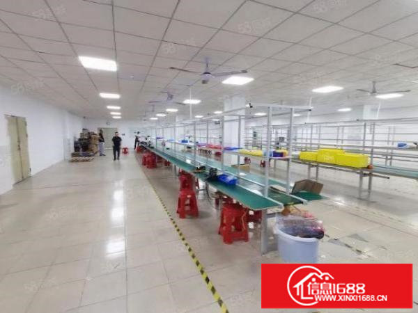 福永新出精装修标准厂房，楼上650平