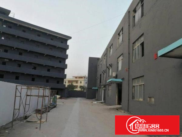 新溪九乡村委厂房招租。大小分租不限行业。