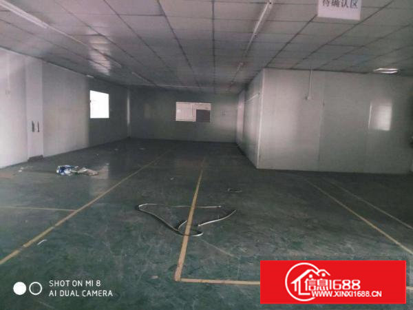 （出租）长安上沙新出500平厂房带装修水电齐全