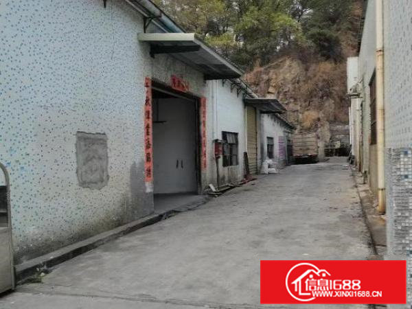 虎门单层一楼厂房600平米房东直租