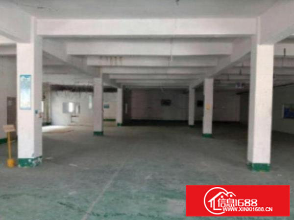 高埗新出一楼1400平米楼高5米厂房出租