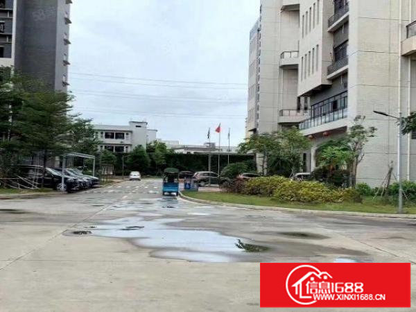 松岗高速口旁红本无尘车间2650平至20元空地大