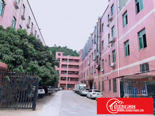 横岗新出花园式独门独院厂房加宿舍8500平方