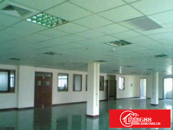 高埗新出标准独院厂房一楼1300平方带精装办公室出租