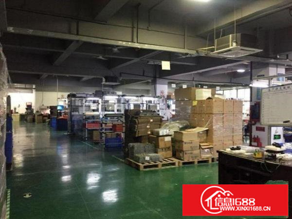 龙岗楼上1500平方带办公室精装修可分租