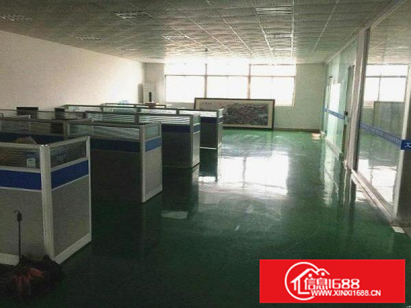 容桂标准700方，带地坪漆办公，形象漂亮，价格便宜