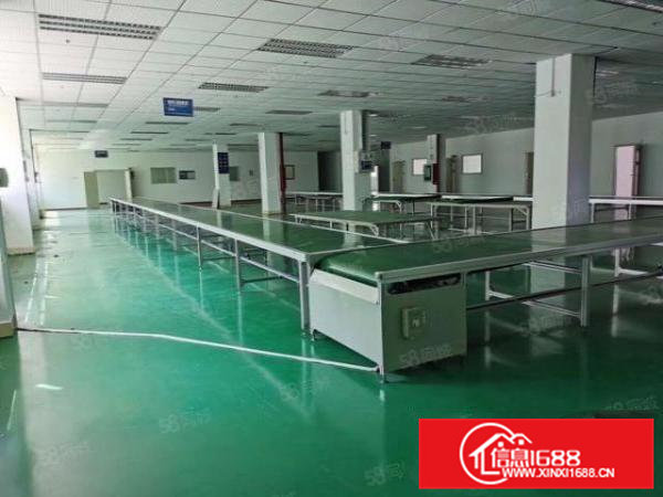 大岭山第三工业区精装修厂房2100平出租，无需转让费照片实拍