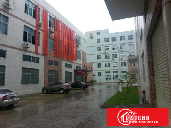 龙岗新出厂房出租原房东带装修面积1000平方