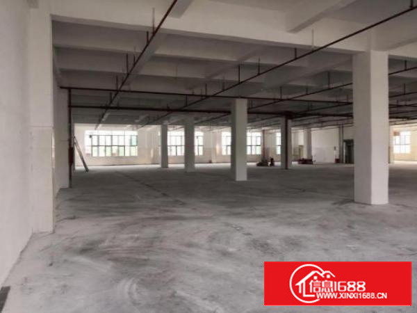 高埗新出一二楼厂房1300平方米;水电齐全;带装修