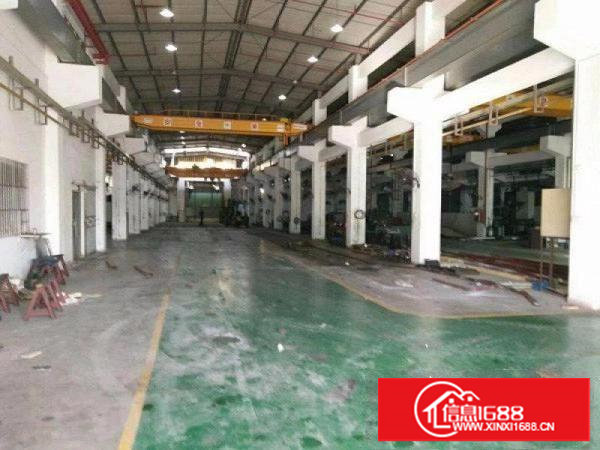 塘厦新出滴水11米高钢构带喷淋，带装修行车免费用