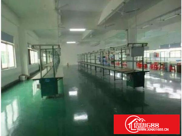 坂田天安云古附近新出楼上1250平方带装修