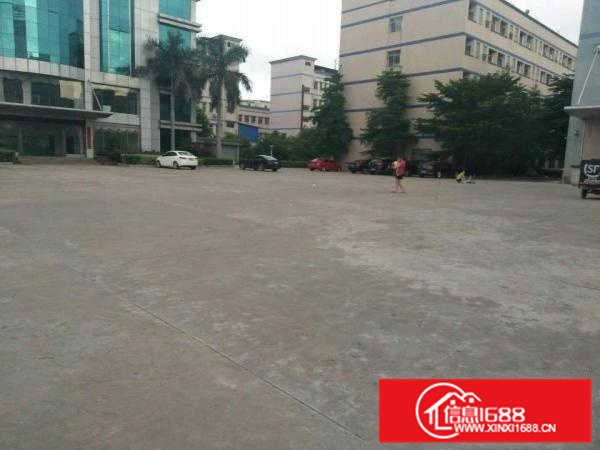 秋长新塘新出一楼2500平精装修厂房出租