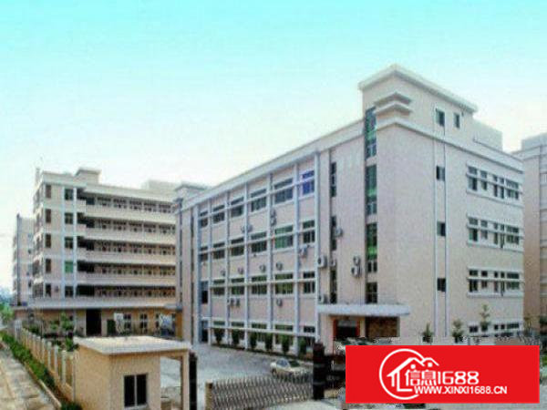 高埗独院标准一楼厂房出租500平方出租配电按需，消防水电齐全